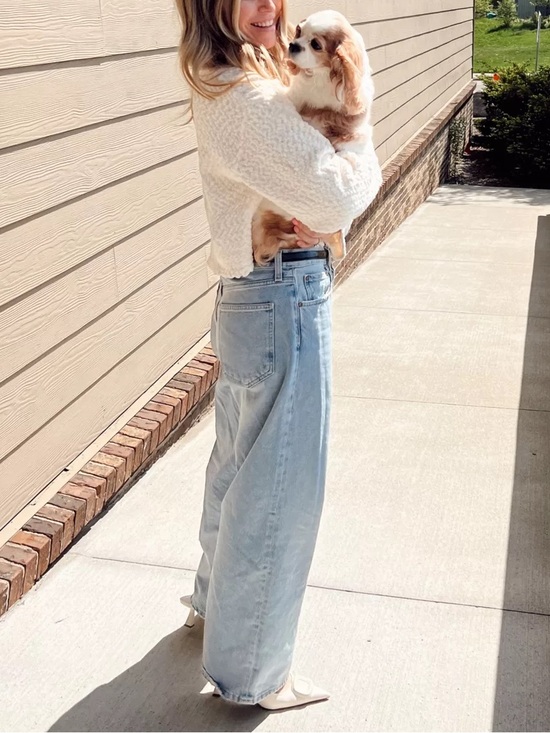 Agolde Denim - Agolde Low Slung Baggy Jeans in Void